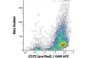 Flow cytometry surface staining pattern of HUT-78 cells stained using anti-human CD70 (Ki-24) purified antibody (concentration in sample 1 μg/mL) GAM APC. (CD70 抗体)