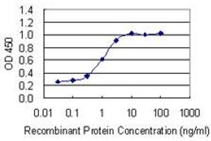 Detection limit for recombinant GST tagged TFEB is 0. (TFEB 抗体  (AA 1-476))