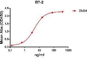 ELISA plate pre-coated by 2 μg/mL (100 μL/well) Human B7-2 protein, mFc-His tagged protein ABIN6961107, ABIN7042243 and ABIN7042244 can bind Rabbit anti-B7-2 monoclonal antibody  (clone: DM84) in a linear range of 1-100 ng/mL. (CD86 抗体  (AA 26-247))