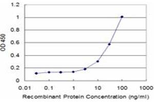 Detection limit for recombinant GST tagged SNX1 is approximately 3ng/ml as a capture antibody. (Sorting Nexin 1 抗体  (AA 166-275))