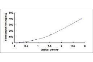 ELISA image for Hemoglobin ELISA Kit (ABIN1118093) (Hemoglobin ELISA 试剂盒)