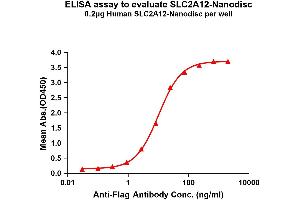 Elisa plates were pre-coated with Flag Tag A12-Nanodisc (0. (GLUT12 蛋白)