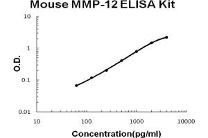 Mouse MMP-12 Accusignal ELISA Kit Mouse MMP-12 AccuSignal ELISA Kit standard curve. (MMP12 ELISA 试剂盒)