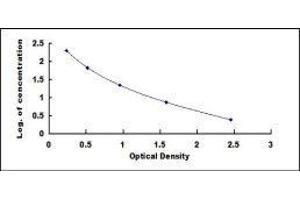 ELISA image for Homovanillic Acid (HVA) ELISA Kit (ABIN1169639) (Homovanillic Acid ELISA 试剂盒)