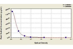 Typical standard curve (Ribulose-1,5-Bisphosphate Carboxylase/oxygenase(RuBisCO) ELISA 试剂盒)