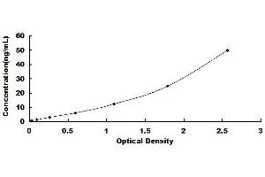 Typical standard curve (ANGPTL4 ELISA 试剂盒)