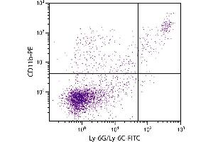 BALB/c mouse splenocytes were stained with Rat Anti-Mouse CD11b-PE. (CD11b 抗体  (PE))