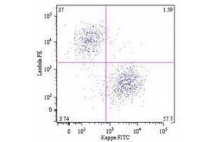 Flow Cytometry (FACS) image for Mouse anti-Human Ig (Chain kappa), (Light Chain) antibody (PE) (ABIN238382) (小鼠 anti-人 Ig (Chain kappa), (Light Chain) Antibody (PE))