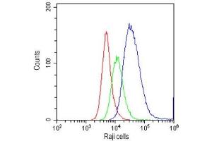 Flow cytometry testing of human Raji cells with CD34 antibody at 1ug/10^6 cells (cells blocked with goat sera) (CD34 抗体  (AA 151-385))