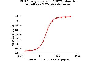 Elisa plates were pre-coated with Flag Tag CL-Nanodisc (0. (CLPTM1 蛋白)