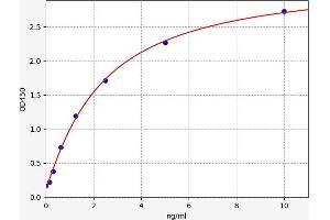 Typical standard curve (RAC1 ELISA 试剂盒)