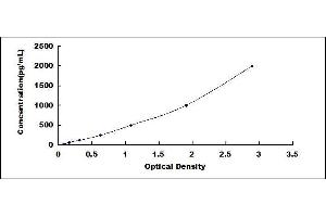 ELISA image for Glial Fibrillary Acidic Protein (GFAP) ELISA Kit (ABIN414002) (GFAP ELISA 试剂盒)