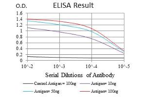 Image no. 4 for anti-Ubiquitin B (UBB) antibody (ABIN1501611) (Ubiquitin B 抗体)