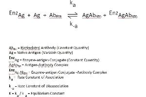 The essential reagents required for a enzyme immunoassay include antibody, enzyme-antigen conjugate and native antigen. (Dehydroepiandrosterone Sulfate ELISA 试剂盒)