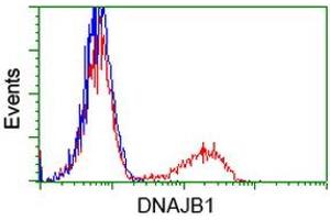 Flow Cytometry (FACS) image for anti-DnaJ (Hsp40) Homolog, Subfamily B, Member 1 (DNAJB1) antibody (ABIN1498735) (DNAJB1 抗体)