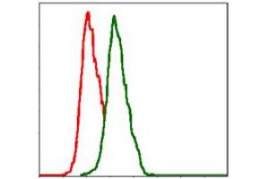 Image no. 6 for anti-Integrin beta 1 (ITGB1) antibody (ABIN1498894) (ITGB1 抗体)