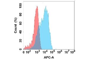 Flow cytometry analysis with Anti- on Expi293 cells transfected with human (Blue histogram) or Expi293 transfected with irrelevant protein (Red histogram). (GPR87 抗体)