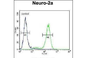 Flow cytometric analysis of Neuro-2a cells (right histogram) compared to a negative control cell (left histogram). (DDX11 抗体  (AA 656-683))