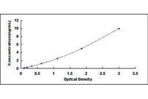 ELISA image for Von Willebrand Factor (VWF) ELISA Kit (ABIN414439) (VWF ELISA 试剂盒)