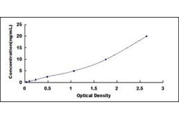 BMPR1B ELISA 试剂盒