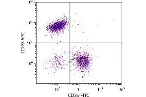 BALB/c mouse splenocytes were stained with Rat Anti-Mouse CD19-APC. (CD19 抗体  (APC))