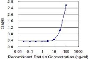 Sandwich ELISA detection sensitivity ranging from 3 ng/mL to 100 ng/mL. (TNFSF13B (人) Matched Antibody Pair)