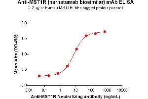 ELISA plate pre-coated by 2 μg/mL (100 μL/well) Human R Protein, hFc Tag (ABIN6964141, ABIN7042561 and ABIN7042562) can bind Anti-R Neutralizing antibody (ABIN7478014 and ABIN7490967) in a linear range of 0. (Recombinant MST1R (Narnatumab Biosimilar) 抗体)