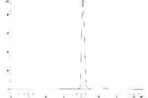 Size-exclusion chromatography-High Pressure Liquid Chromatography (SEC-HPLC) image for CD80 (CD80) (AA 35-242) protein (His-Avi Tag) (ABIN7273893)