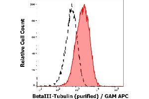 Flow Cytometry (FACS) image for anti-Tubulin, beta 3 (TUBB3) (N-Term) antibody (ABIN93911)