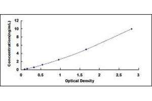 Typical standard curve (SFTA2 ELISA 试剂盒)