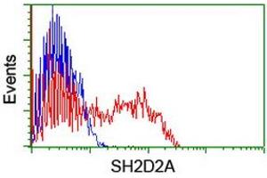 HEK293T cells transfected with either RC204162 overexpress plasmid (Red) or empty vector control plasmid (Blue) were immunostained by anti-SH2D2A antibody (ABIN2455660), and then analyzed by flow cytometry. (SH2D2A 抗体)