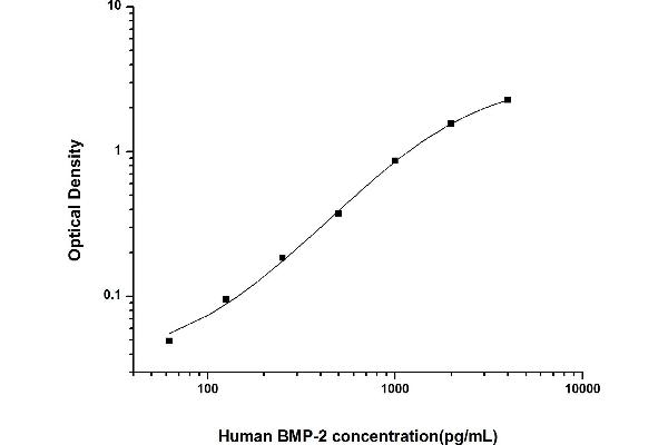 BMP2 ELISA 试剂盒