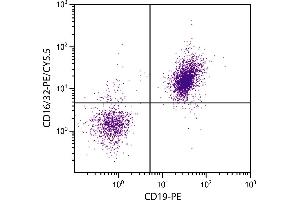 BALB/c mouse splenocytes were stained with Rat Anti-Mouse CD16/32-PE/CY5. (CD32/CD16 抗体)