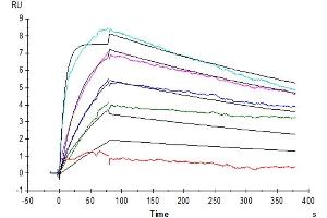 Surface Plasmon Resonance (SPR) image for Interleukin 31 Receptor A (IL31RA) (AA 20-519) protein (Fc Tag) (ABIN7275030)