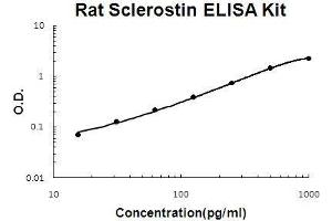 Rat Sclerostin/SOST PicoKine ELISA Kit standard curve (Sclerostin ELISA 试剂盒)