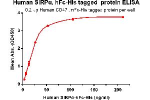 ELISA plate pre-coated by 2 μg/mL (100 μL/well) Human CD47, mFc-His tagged protein ABIN6961081, ABIN7042191 and ABIN7042192 can bind its native ligand Human SIRPα, hFc-His tagged protein (ABIN6961082, ABIN7042193 and ABIN7042194) in a linear range of 3. (SIRPA Protein (AA 31-373) (Fc-His Tag))