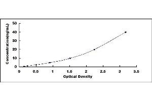 Typical standard curve (GPBAR1 ELISA 试剂盒)