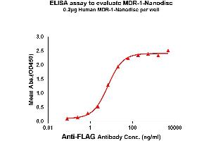 Elisa plates were pre-coated with Flag Tag MDR-1-Nanodisc (0. (Malic Enzyme Complex, Mitochondrial (Mod2) 蛋白)