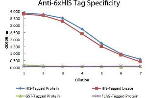 ELISA of Mouse anti-6xHIS Tag Antibody. (His Tag 抗体  (DyLight 549))