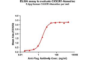 Elisa plates were pre-coated with Flag Tag CX3CR1-Nanodisc (0. (CX3CR1 蛋白)
