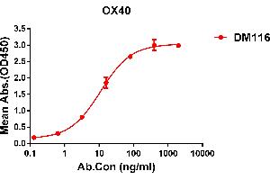 ELISA plate pre-coated by 2 μg/mL (100 μL/well) Human OX40 protein, hFc-His tagged protein ABIN6961095, ABIN7042219 and ABIN7042220 can bind Rabbit anti-OX40 monoclonal antibody  (clone: DM116) in a linear range of 6-70 ng/mL. (TNFRSF4 抗体  (AA 29-216))