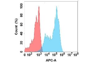 Flow cytometry analysis with Anti-SIG on Expi293 cells transfected with human SIG (Blue histogram) or Expi293 transfected with irrelevant protein (Red histogram). (SIGLEC7 抗体)