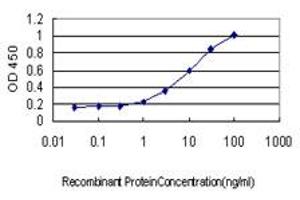 ELISA image for anti-Glutaminyl-tRNA Synthetase (QARS) (AA 677-775) antibody (ABIN562548)