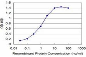 Detection limit for recombinant GST tagged TLX3 is approximately 0. (TLX3 抗体  (AA 192-291))