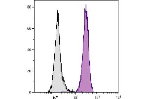 Human peripheral blood granulocytes were stained with Mouse Anti-Human CD11b-BIOT. (CD11b 抗体  (Biotin))