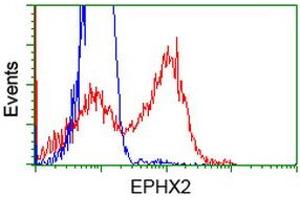 Flow Cytometry (FACS) image for anti-Epoxide Hydrolase 2, Cytoplasmic (EPHX2) antibody (ABIN1500857) (EPHX2 抗体)