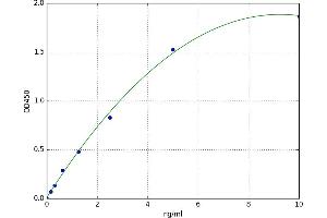 A typical standard curve (CGB ELISA 试剂盒)