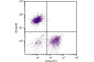 BALB/c mouse splenocytes were stained with Hamster Anti-Mouse CD3ε-FITC. (CD3 epsilon 抗体  (FITC))