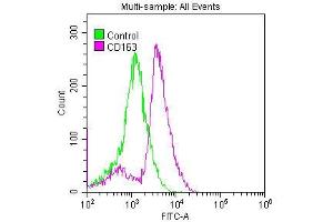 Overlay histogram showing Raw264. (Recombinant CD163 抗体)