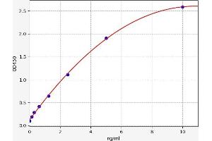 Typical standard curve (AKT1 ELISA 试剂盒)